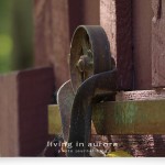 IMG_7773_HillaryHouse