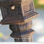 IMG_7807_HillaryHouse